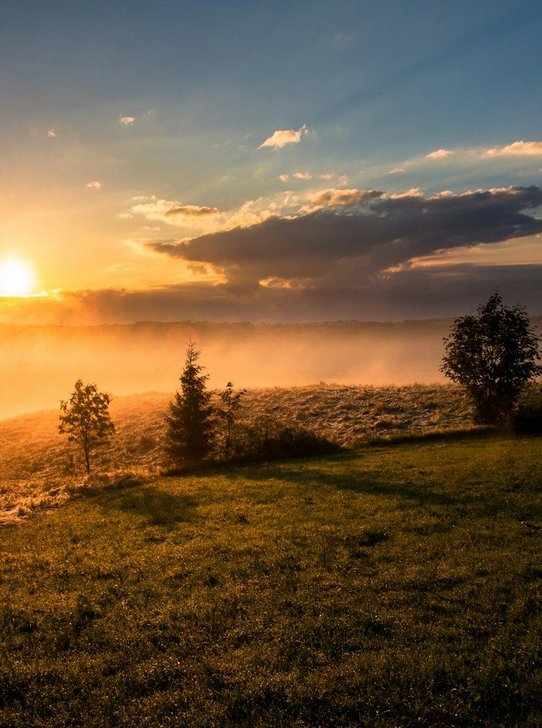 Golden sunrise over a peaceful meadow